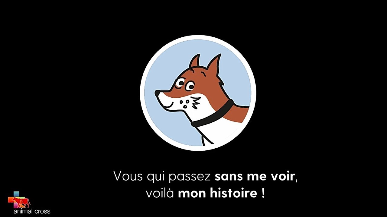 Animal Cross - Refusons la maltraitance 