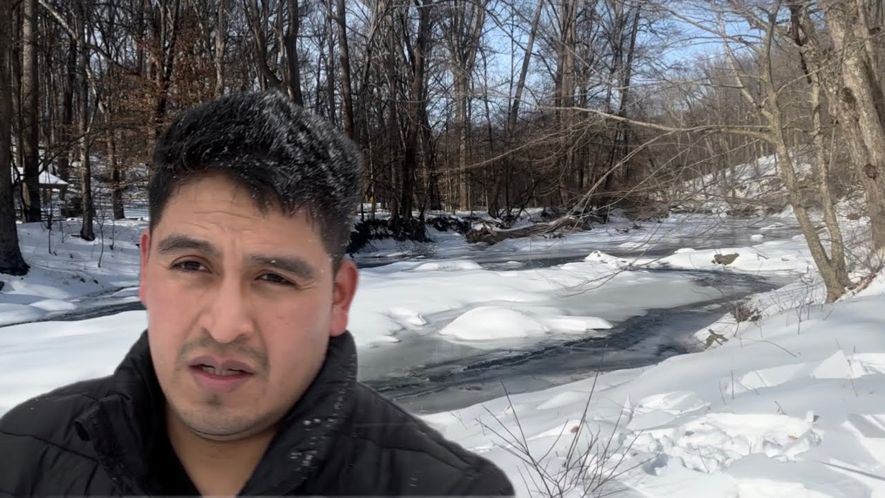 Thour por bosque  inmenso “habra animales en plena  nevada “🦌❄️🧊😲
