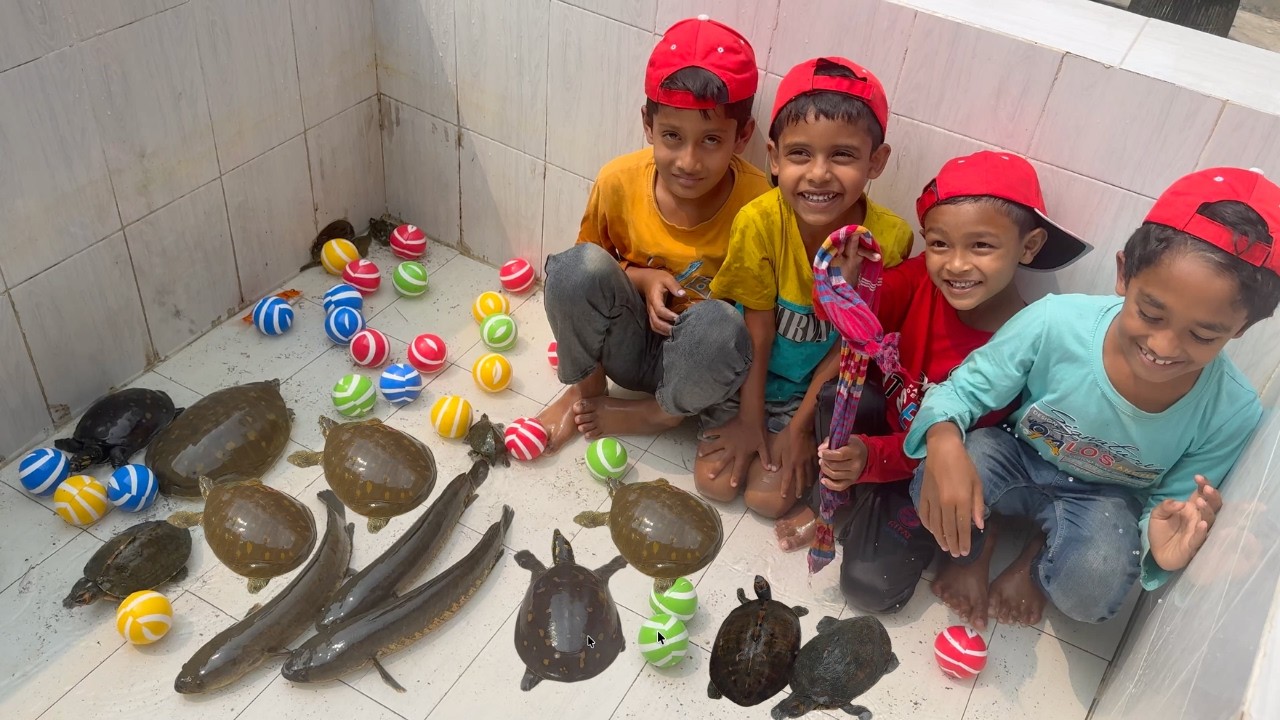 Boys Get nervous Cleaning Aquarium for Tortoise
