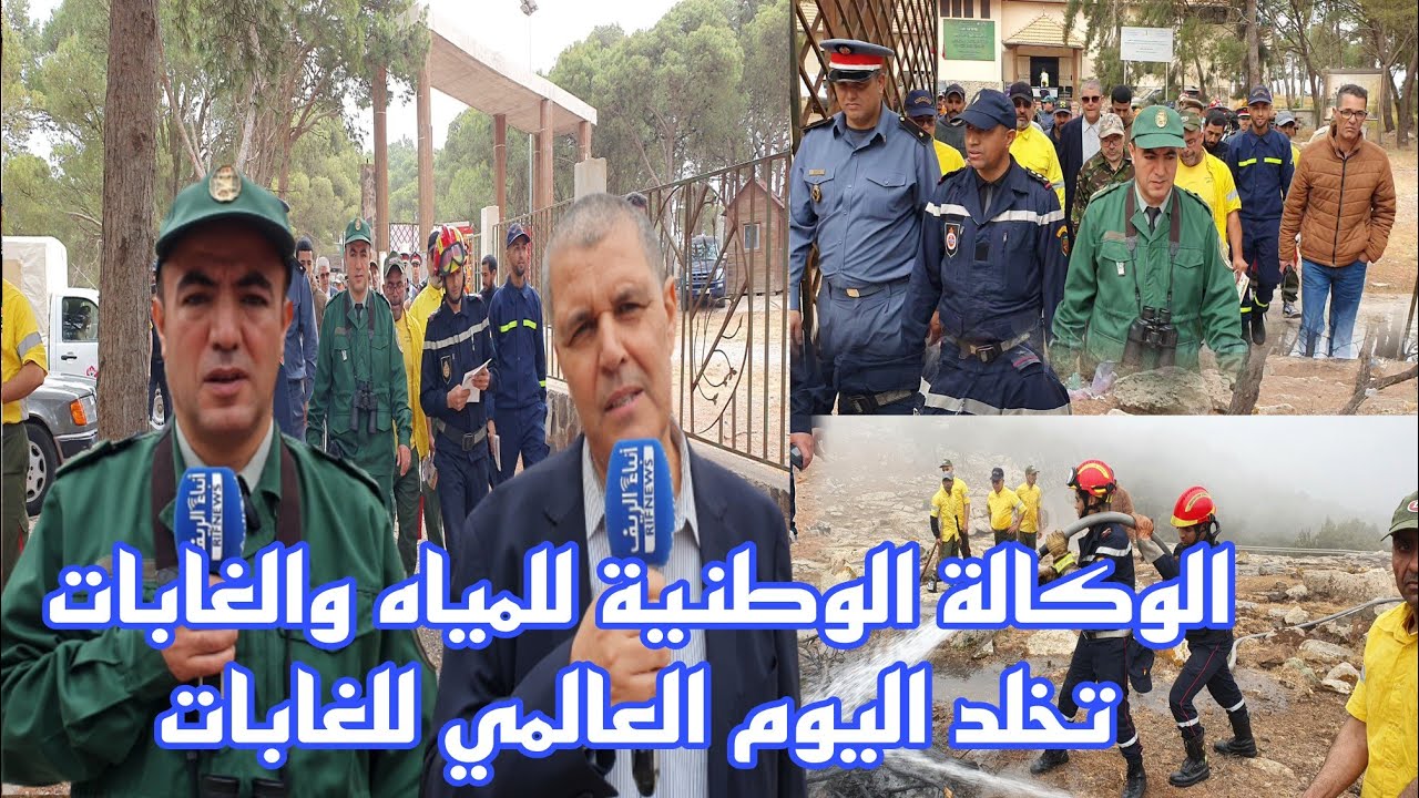 الناظور.. الوكالة الوطنية للمياه والغابات تخلد اليوم العالمي للغابات