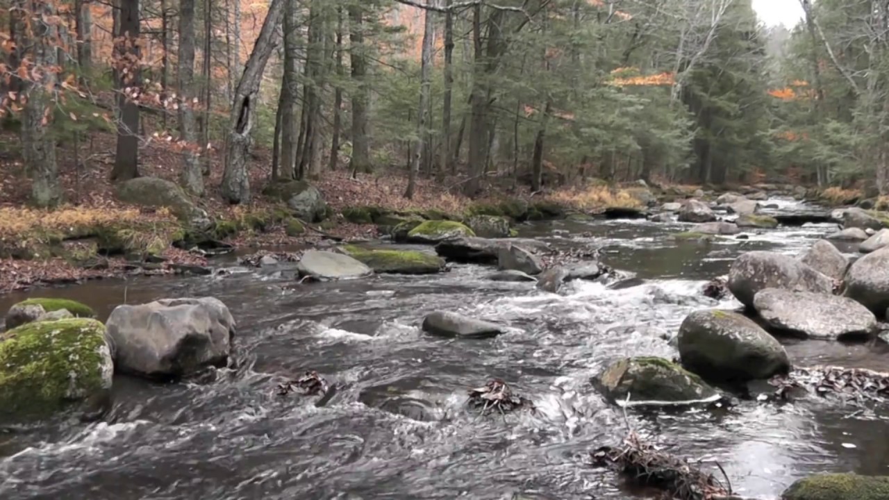 Babbling Brook ASMR - 1080P HD