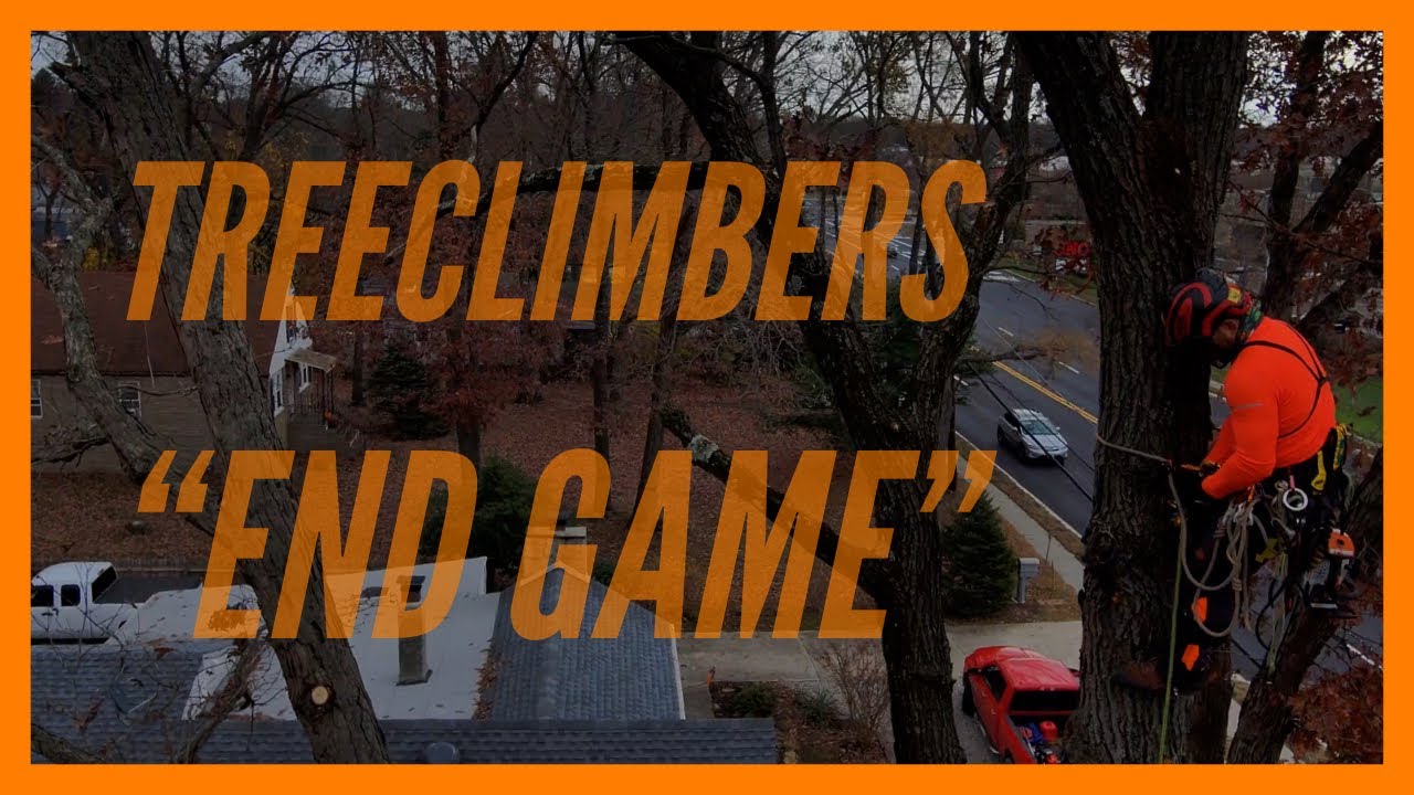 TREECLIMBERS | 