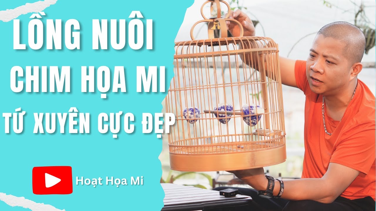 Lồng chim họa mi Tứ Xuyên size 34 siêu đẹp  | Hoạt Hoạ Mi