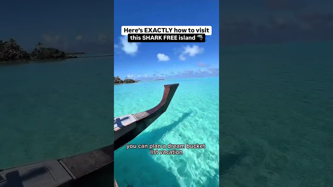 ⛔️ NO SHARKS + HOW TO VISIT ⬇️  
