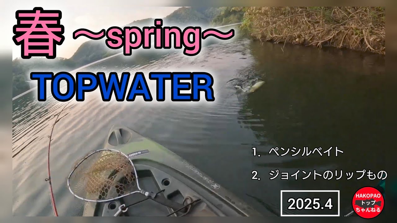 春のダムで夕まずめ1時間勝負！？【トップウォーター】