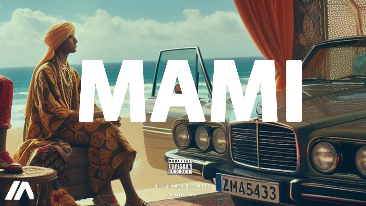 dystinct type beat x soolking type beat 