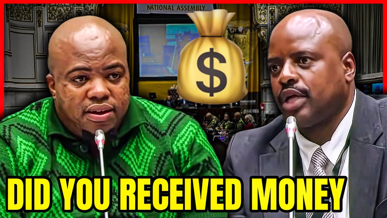 Julius Mkhwanazi Admit That He Had Received MONEY From Cat Matlala