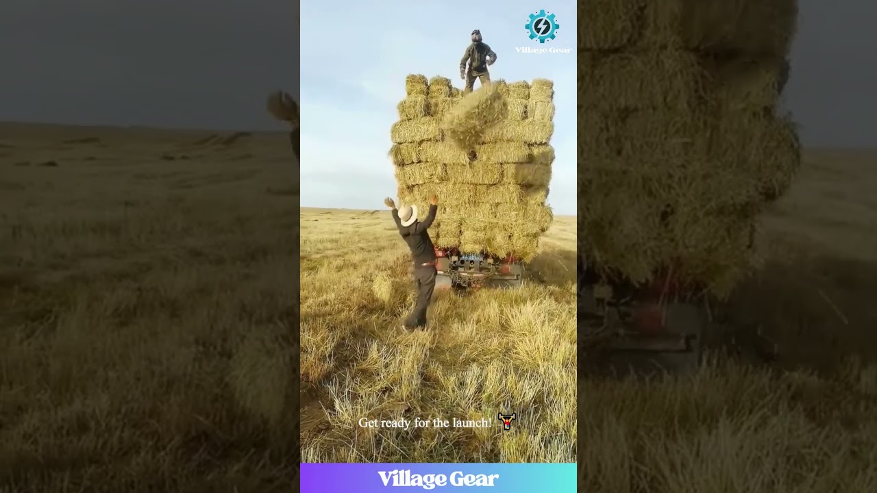 Hay Bale Toss Champions! 😂 This Stacking is Next Level! 