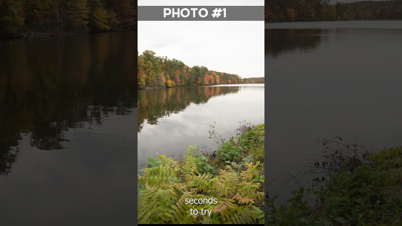 Can You Spot the Fake Photo?