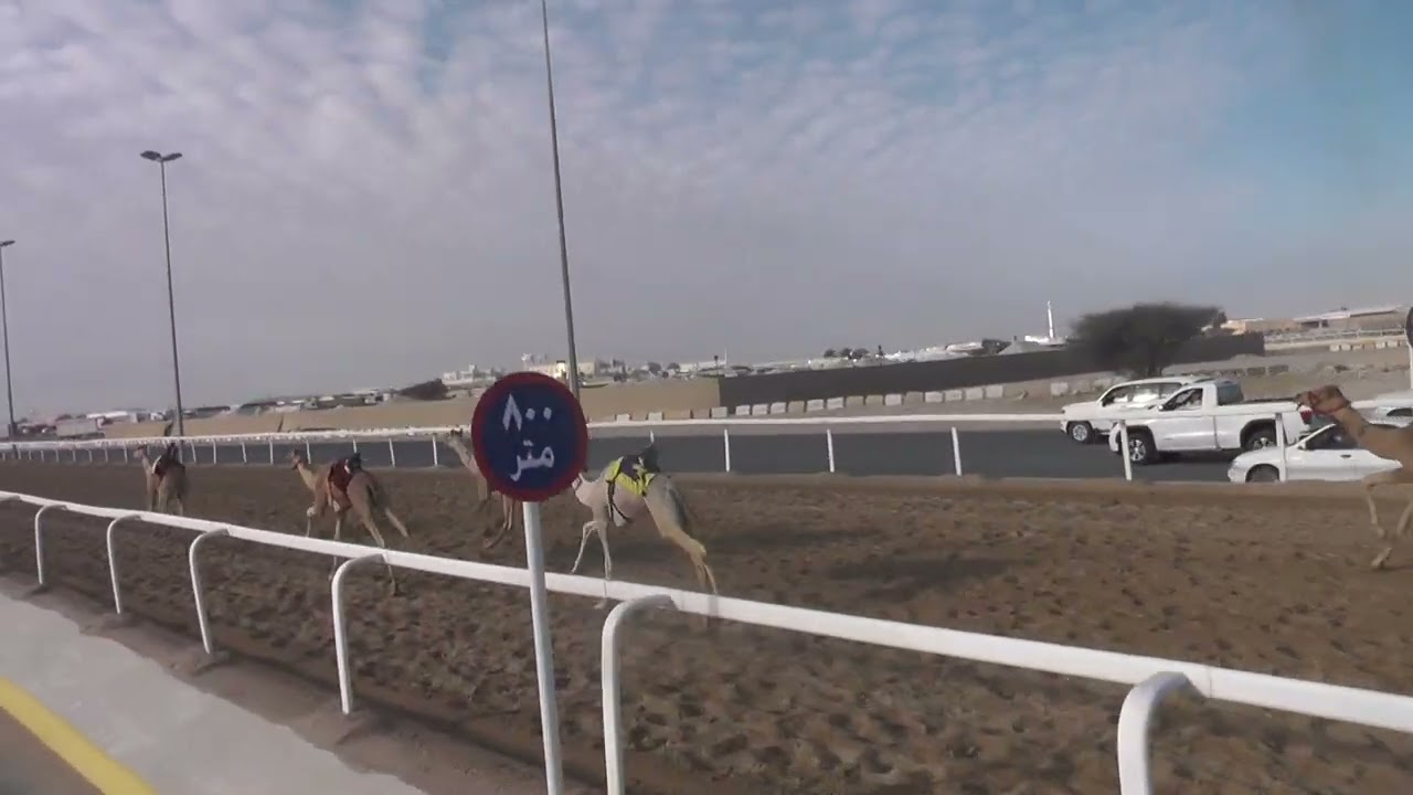 ش14 / الشعبية / مشتركات / بكار + قعدان / اريام /سهيل فرج العاص المري / 02:19:48