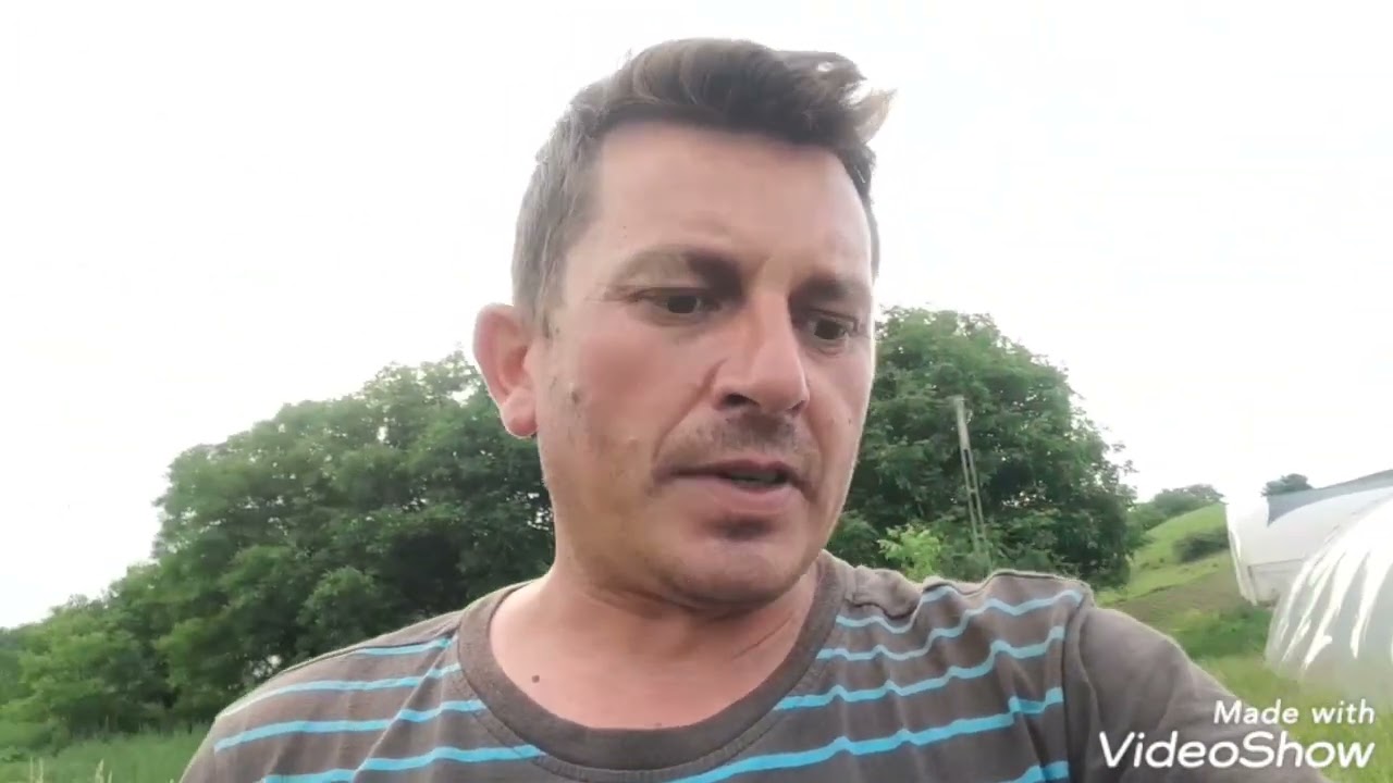 Tratament la rosii și ardei înainte de ploi!!!