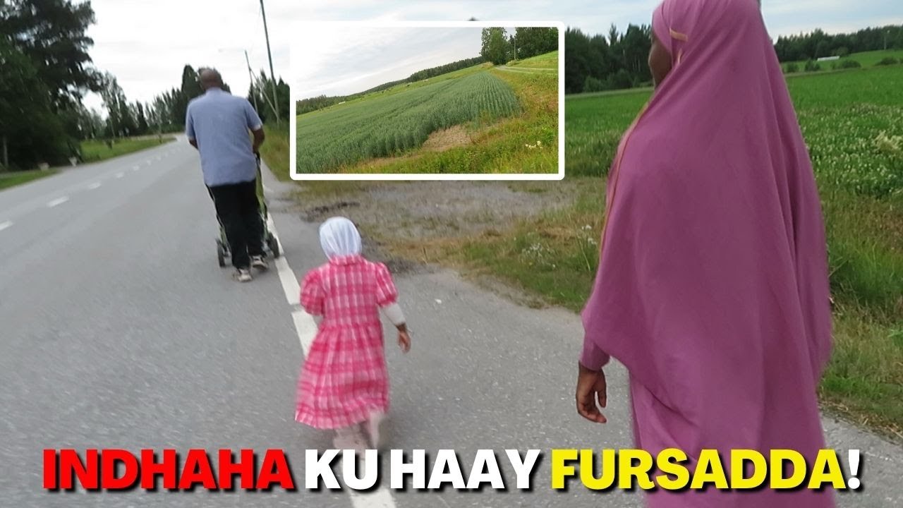 LACAG AYAA NOOSOO CARFEEYSA!