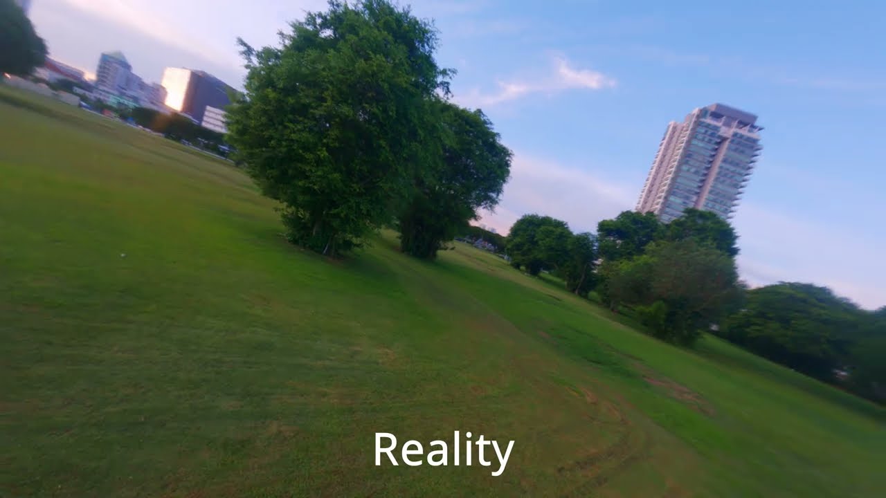 Expectation vs Reality (Tryp FPV vs Real life)