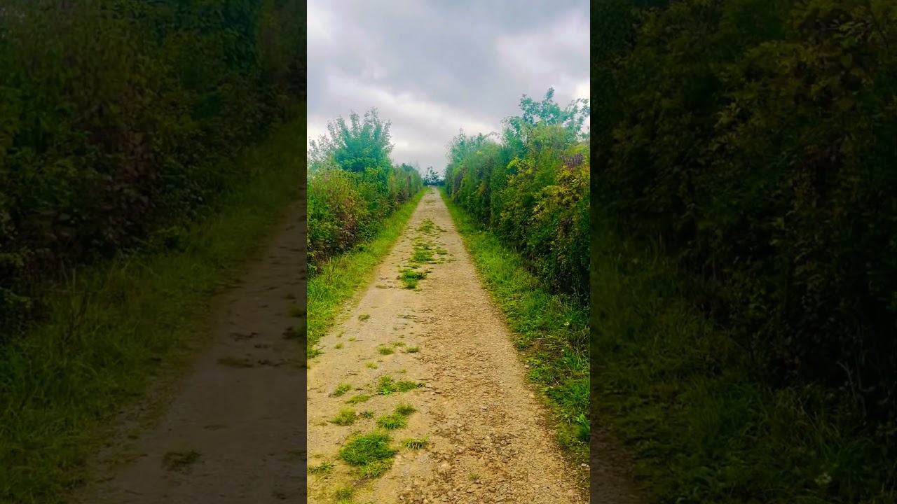 Walking,Kirchberg vibes #walking #luxembourg
