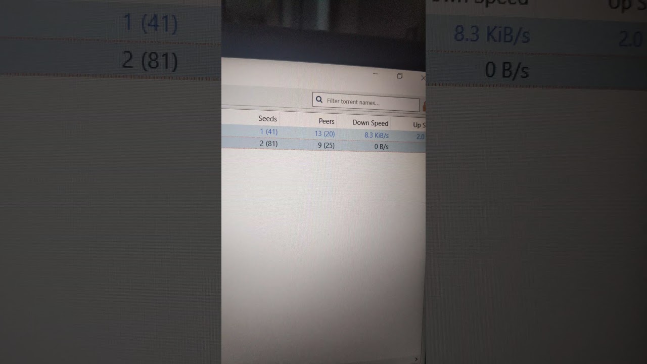 never seed torrents