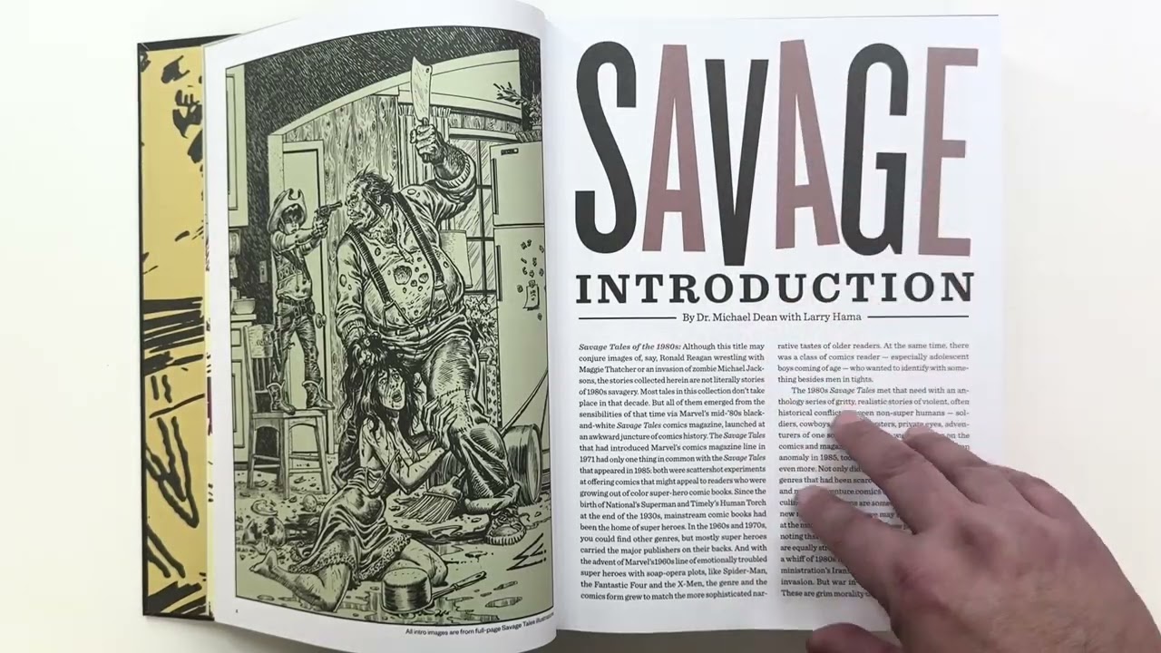 Savage Tales of the 1980s by Fantagraphics Publishing