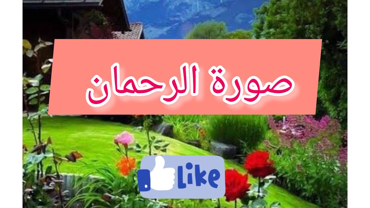 صورة الرحمان بصوت الشيخ رابح قلواش