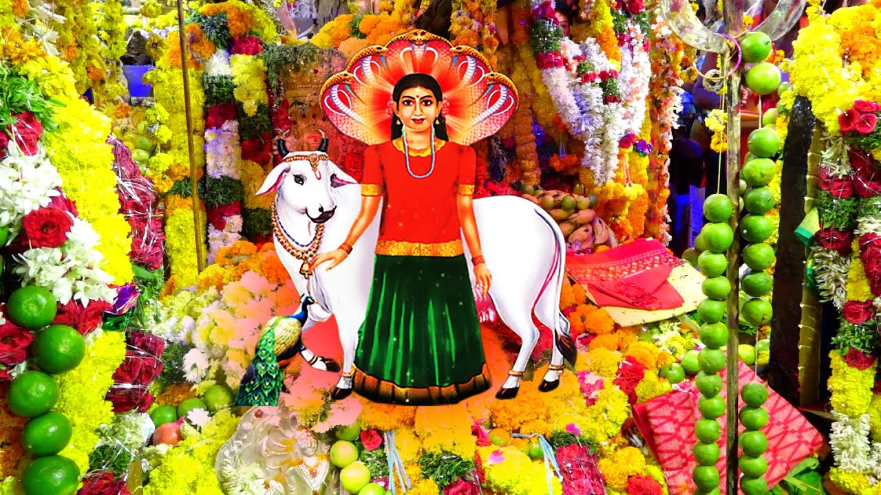 అడిగొప్పల శ్రీనిదానంపాటి శ్రీలక్ష్మి అమ్మవారి రాళ్లగుట్ట || Sri Nidanampati Ammavari Bhakthi Channel