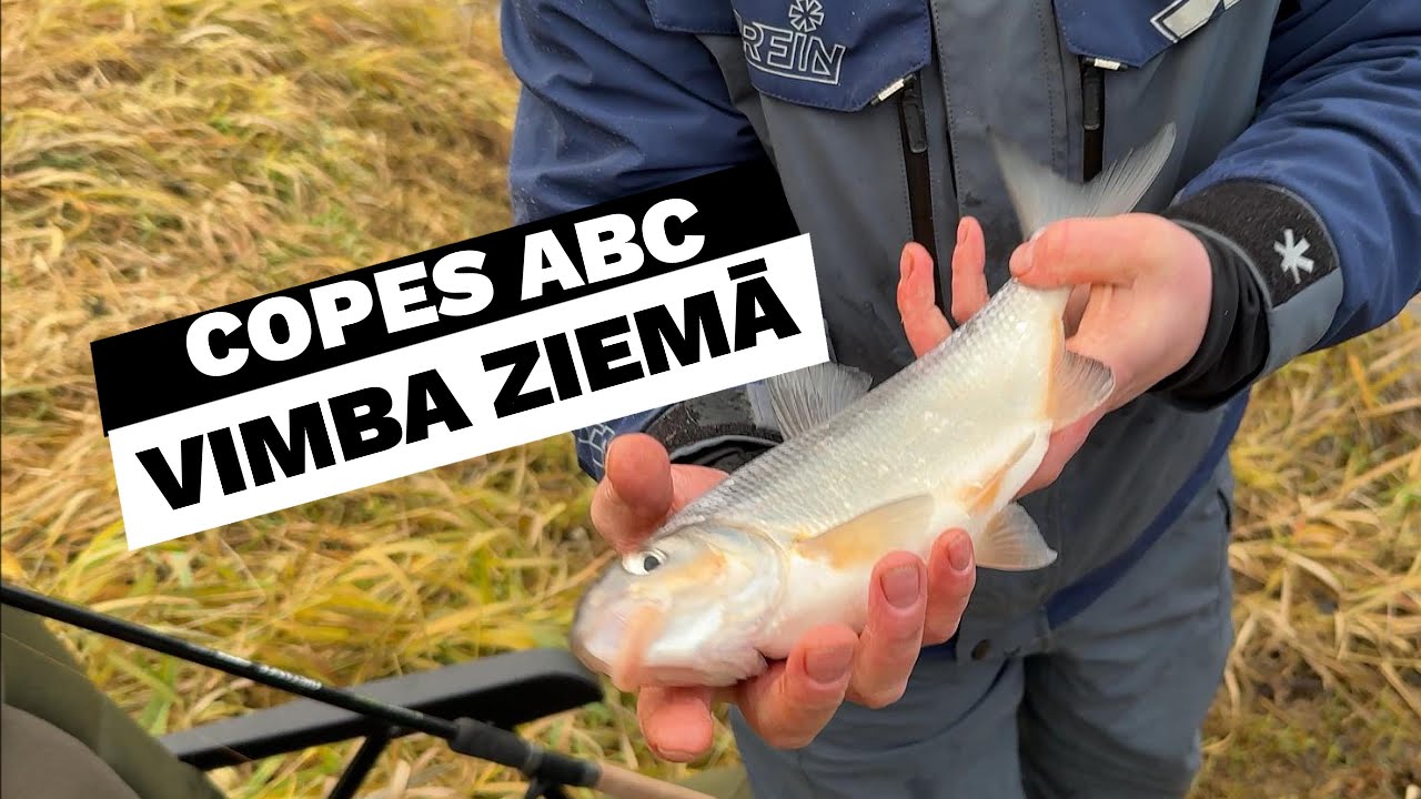 COPES ABC: Vimba decembrī. Fīderis.
