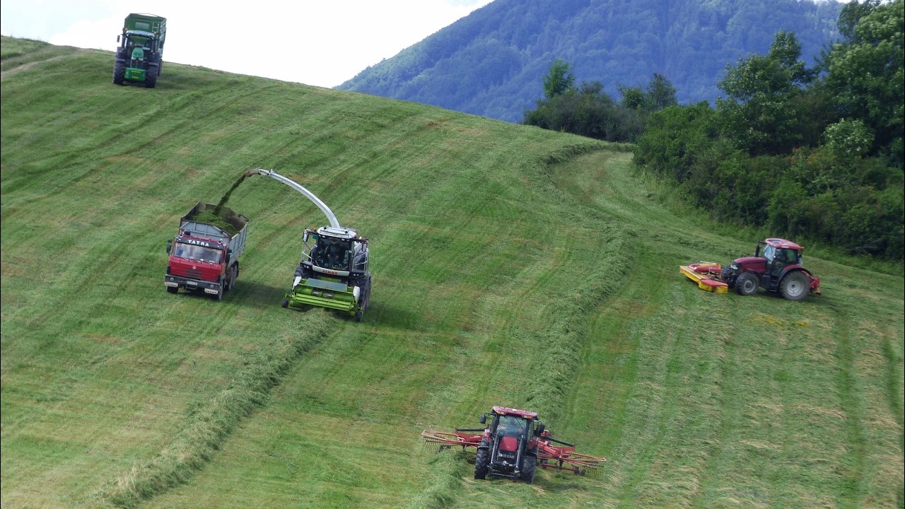Kiszonka z traw na wzg&oacute;rzach z sieczkarnią Claas Jaguar 980, 7&times; ciągnik&oacute;w John Deere i Case IH Tatra