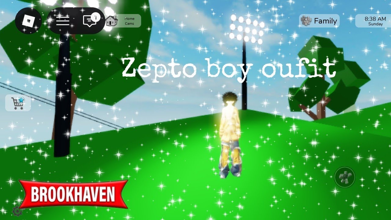 Zepto boy oufit idea for Brookhaven 🏡