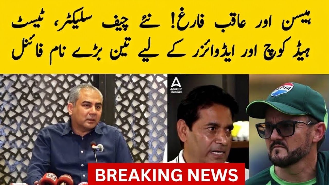 Big Breaking: Aaqib and Hesson removed! Three ex cricketers called for key roles 