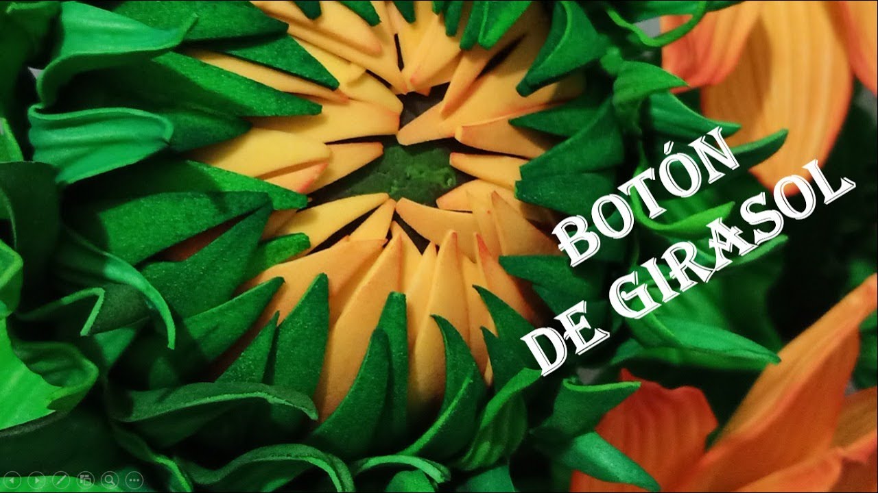 Botón de Girasol.