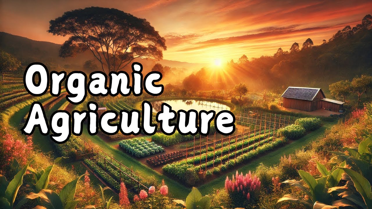 Astonishing Truth About Organic Agriculture!