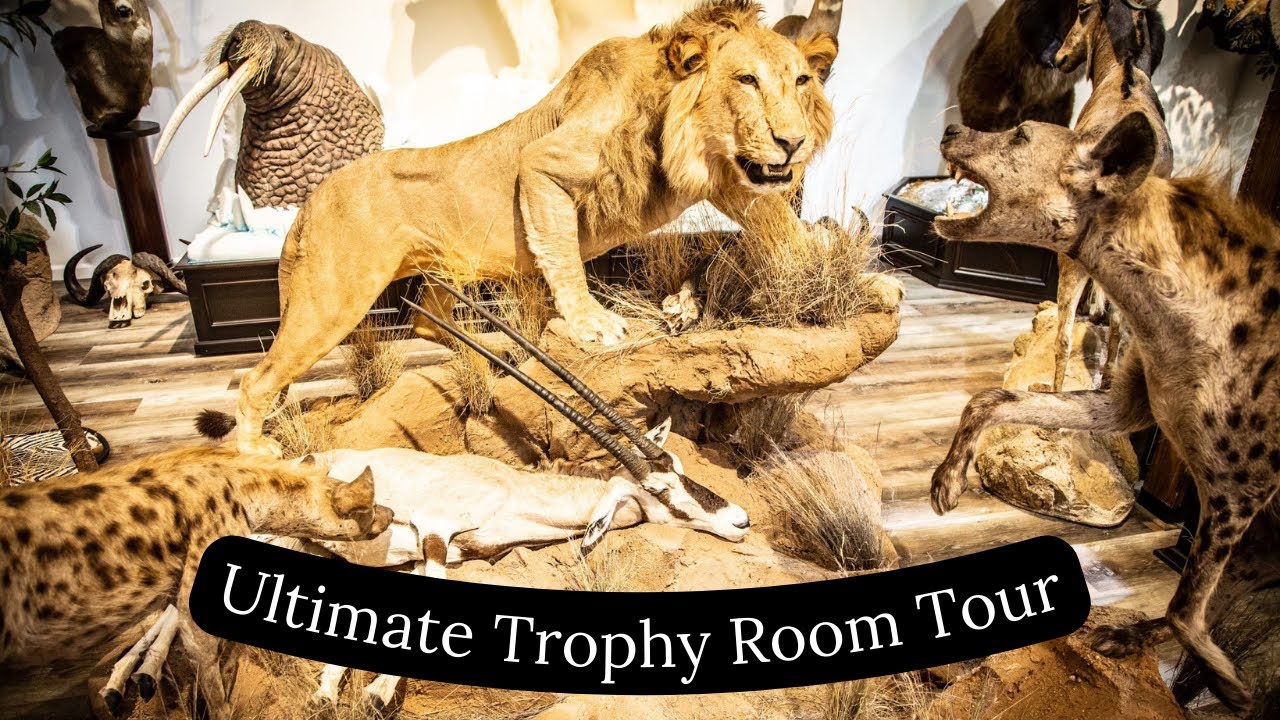 Ultimate Trophy Room Tour