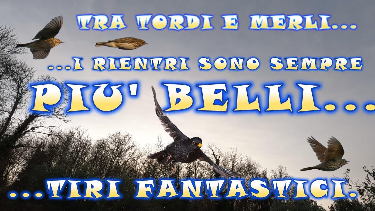 Caccia ai tordi: un rientro fantastico(tra merli e tordi)