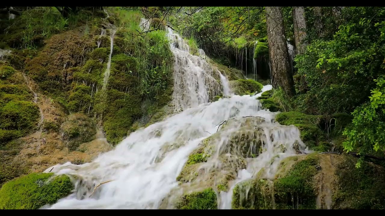 Una Señal del Cielo | Marcos 8:11:13