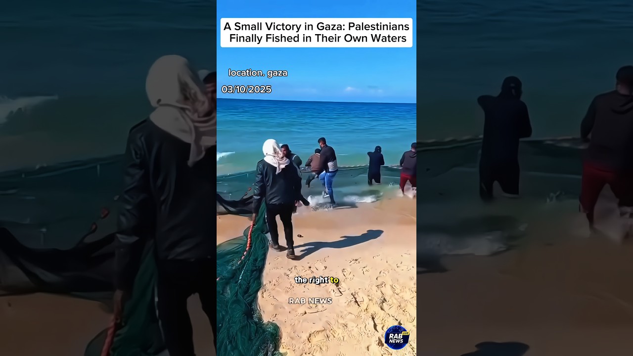 Palestinians Finally Fished in Their Own Waters #foryou #viralvideo #palestine #gaza