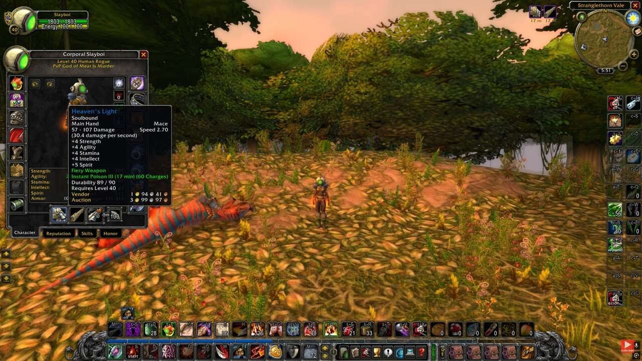 New Lvl 40 Rogue Gear, Talents, and Gold Farming Guide
