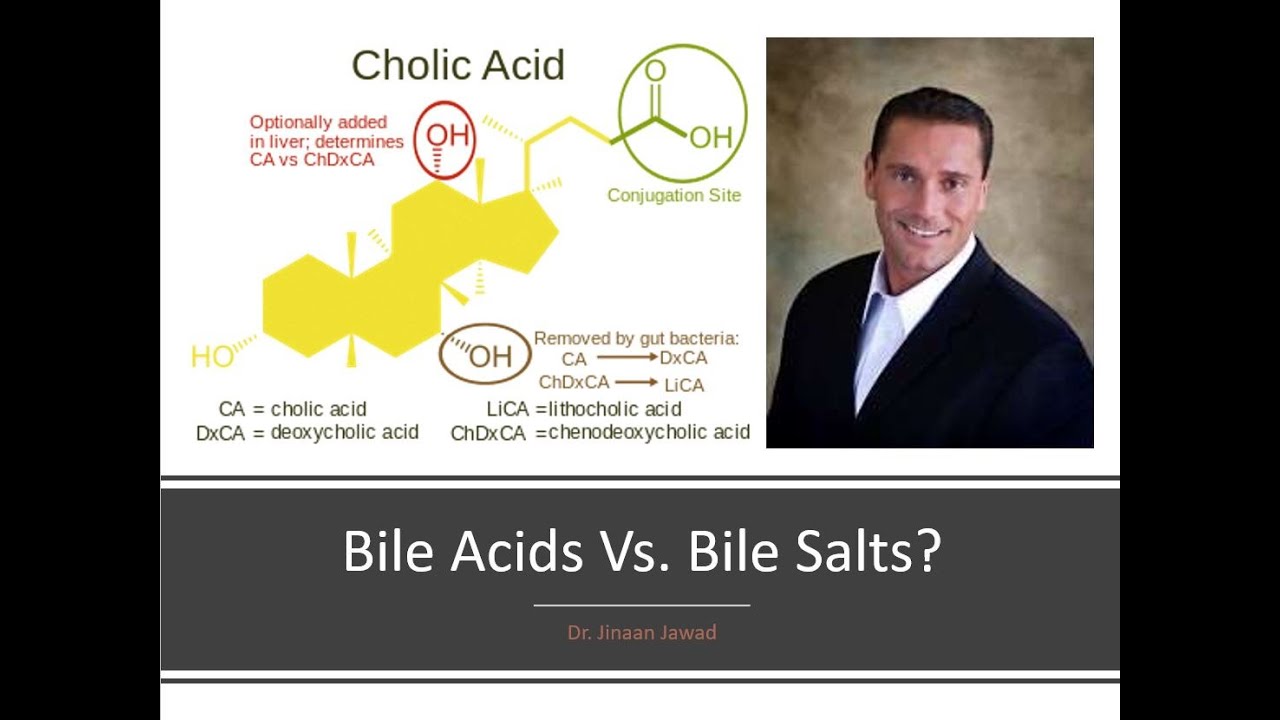 What Are Bile Salts/Conjugated Bile Acids?