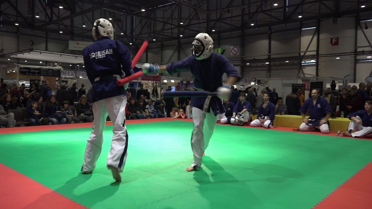 Démonstration Yoseikan Budo (Automnales 2017)