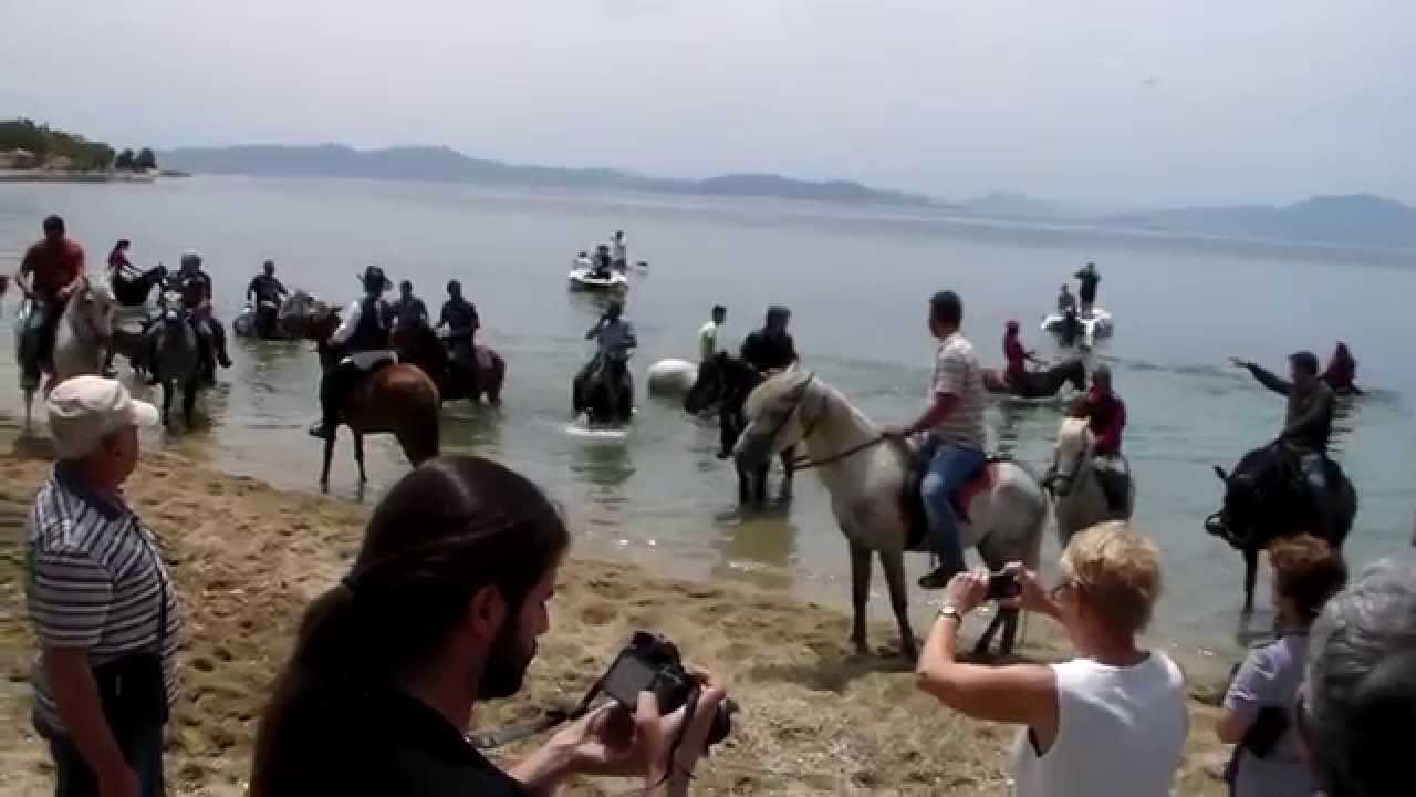 ΑΓΙΑΣΜΟΣ ΑΛΟΓΩΝ ΣΤΑ ΚΑΛΑ ΝΕΡΑ ΒΟΛΟΥ ΤΗΣ ΑΝΑΛΗΨΕΩΣ 29-5-14