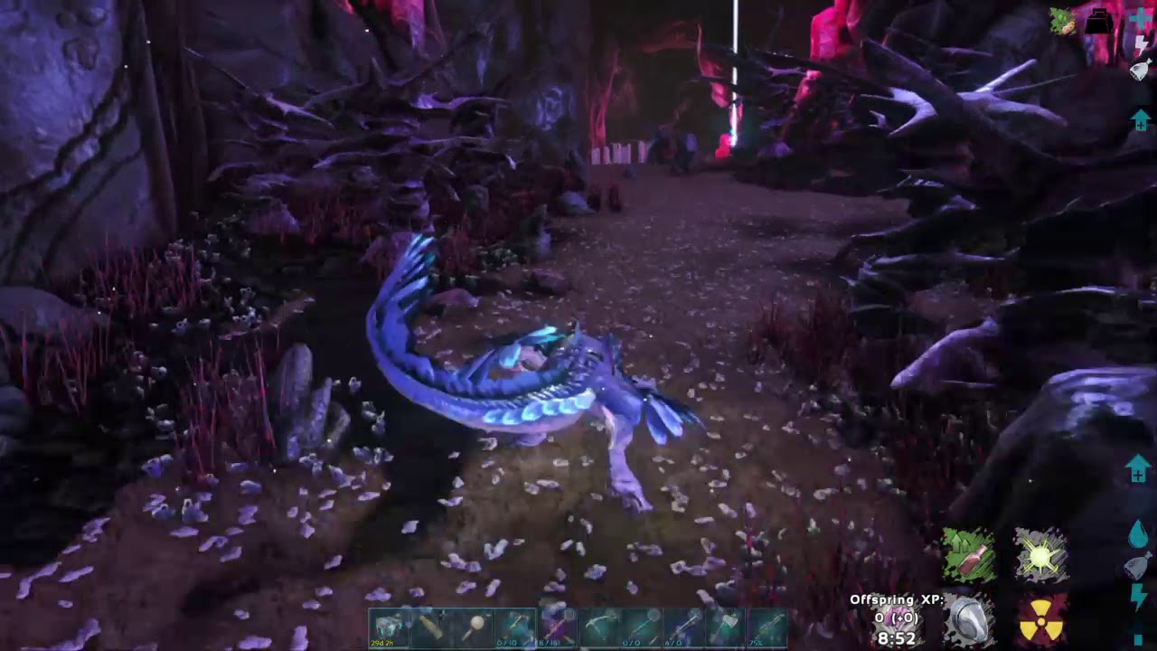 Wont gain xp
