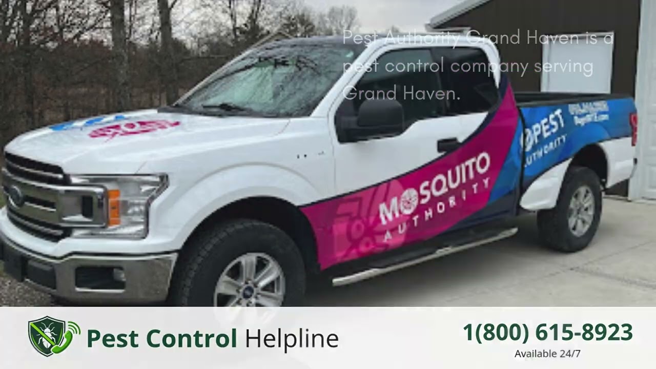 Top 3 Pest Control in Grand Haven