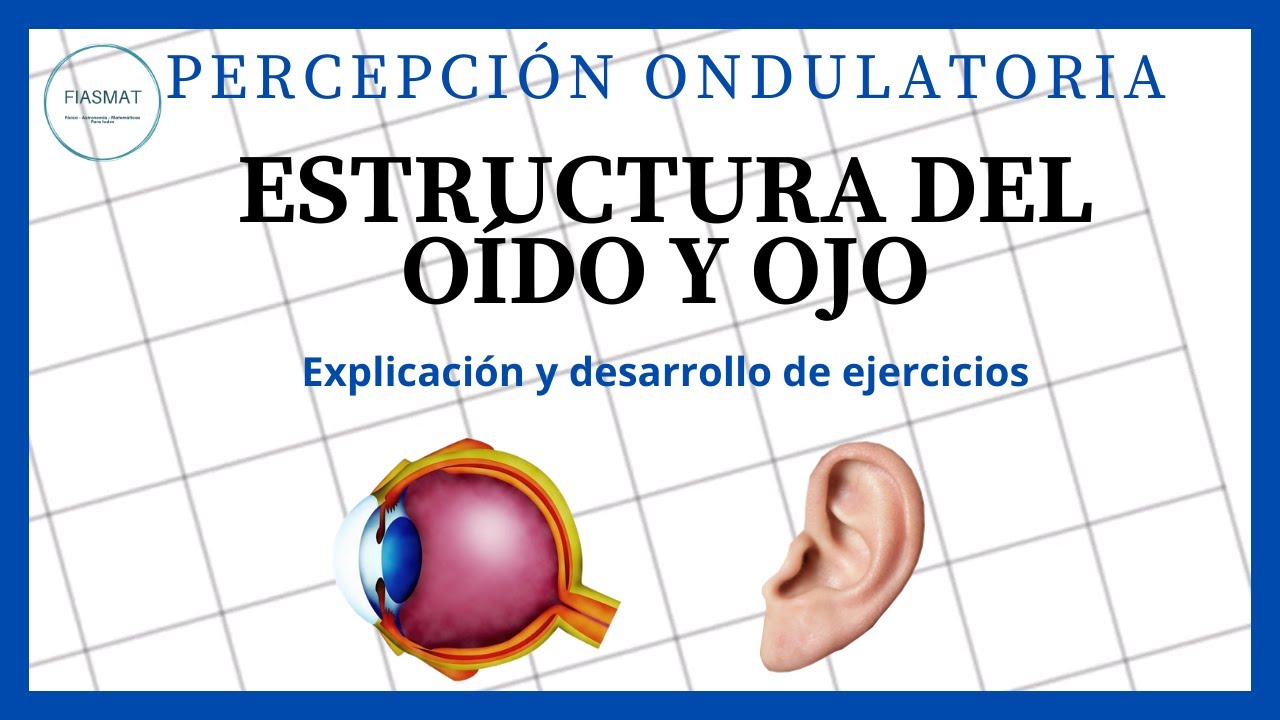 Estructura del OJO y O&iacute;DO - Percepci&oacute;n ondulatoria