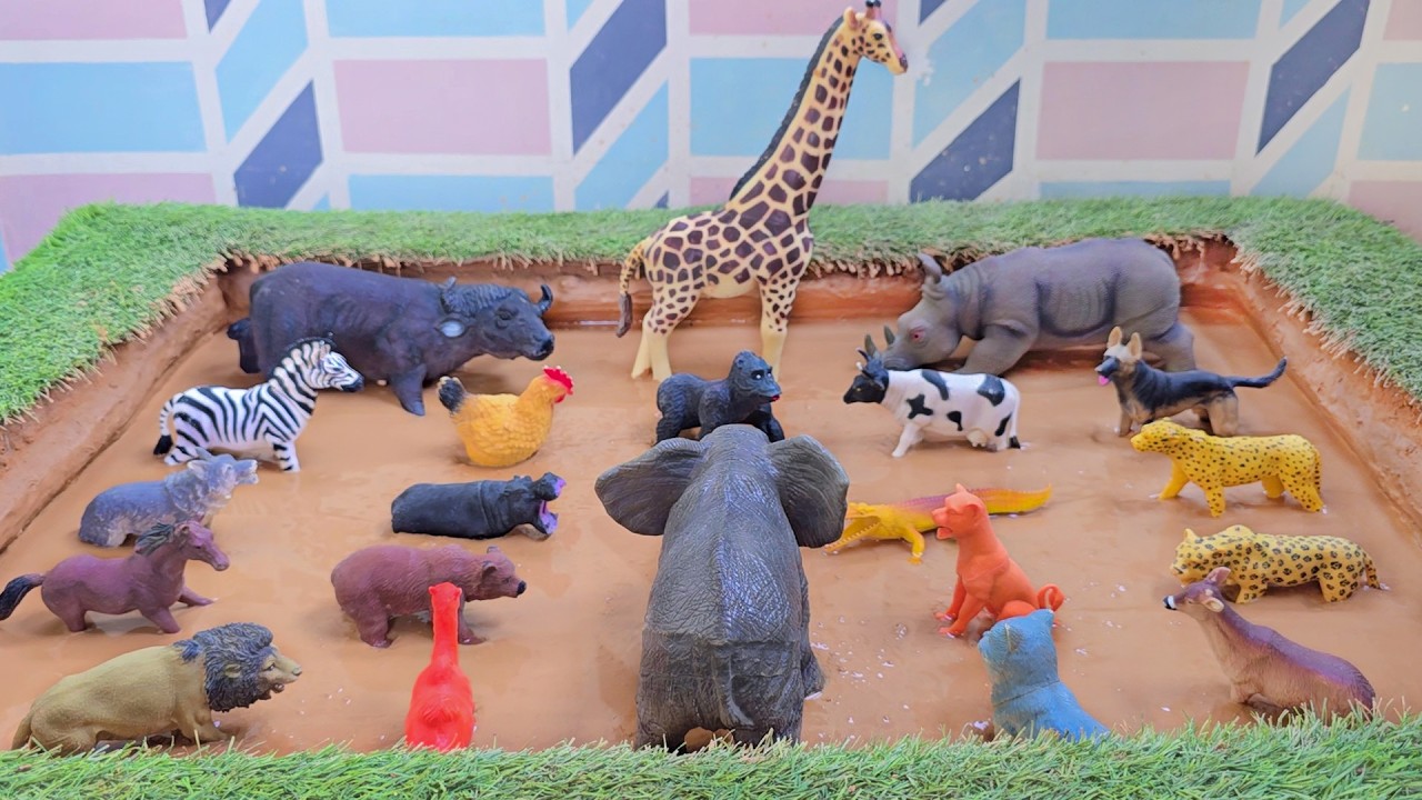 Understanding the Unity of Hoofed and Nocturnal Animals in the Sandbox