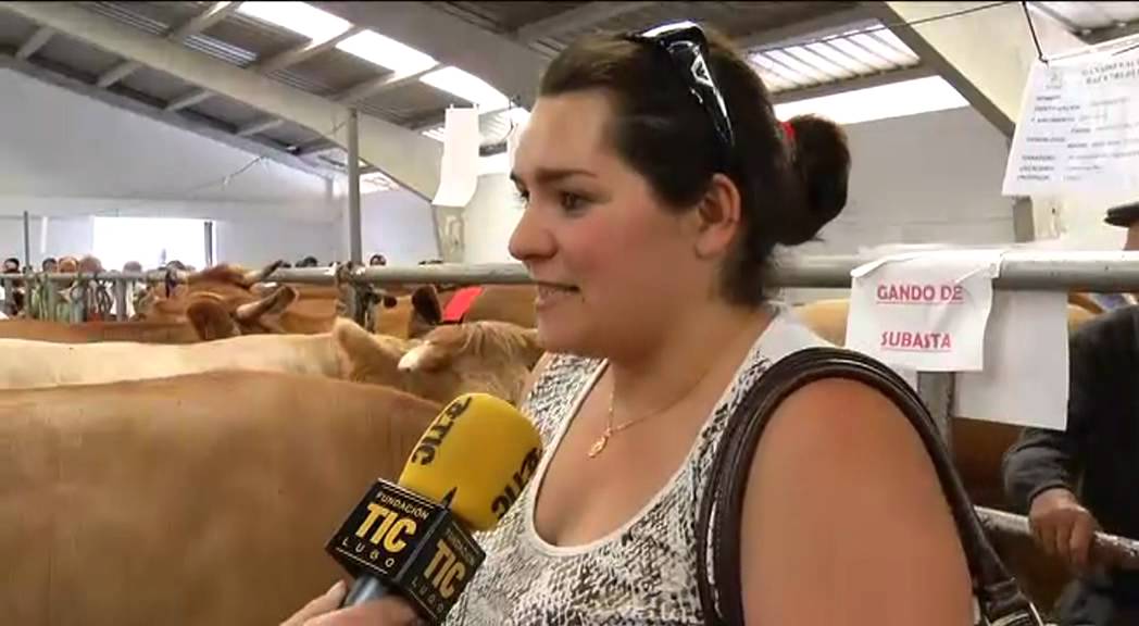 Feira de gando vacún en Pedrafita do Cebreiro