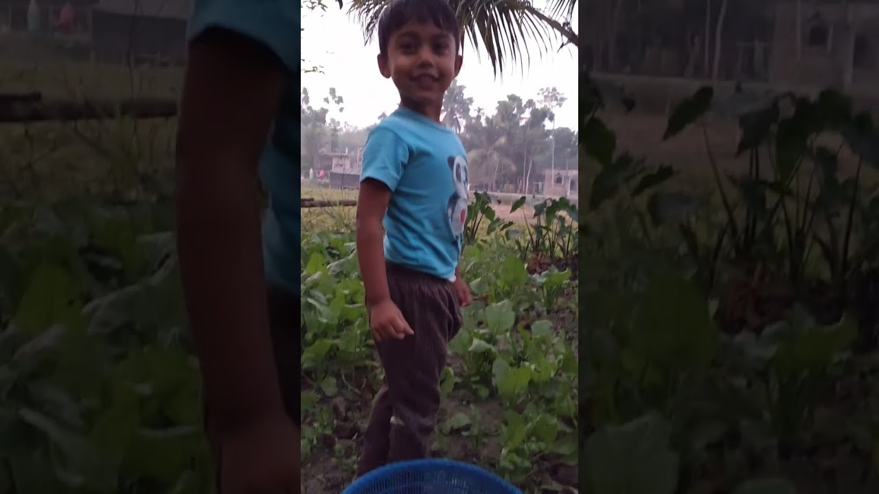 ছোটু বাগান থেকে কত পালং শাক তুলল 💞💞#cleaningchannel 