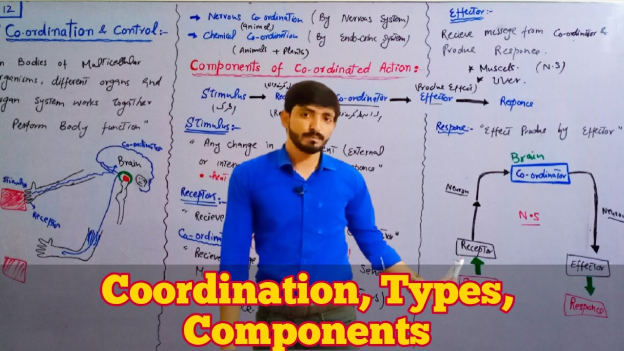 Introduction to Coordination in living organism - types and Components of Coordination | Biology 10