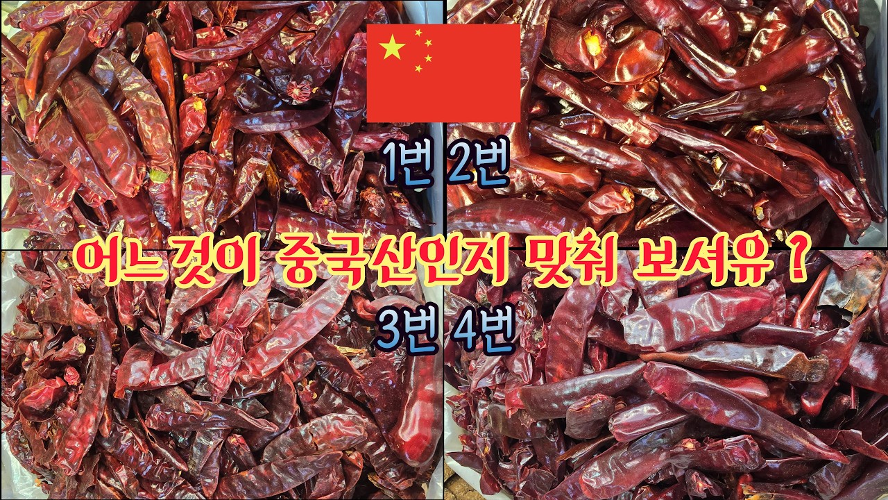 🌶 40년 고추장사가 폭로하는, 중국산 고추가루 절대 속지 않고 사는법 (구로시장) 🌶 #고춧가루 #고추시세 #중국산고춧가루구별법 #중국산 #국산고춧가루 #구로시장