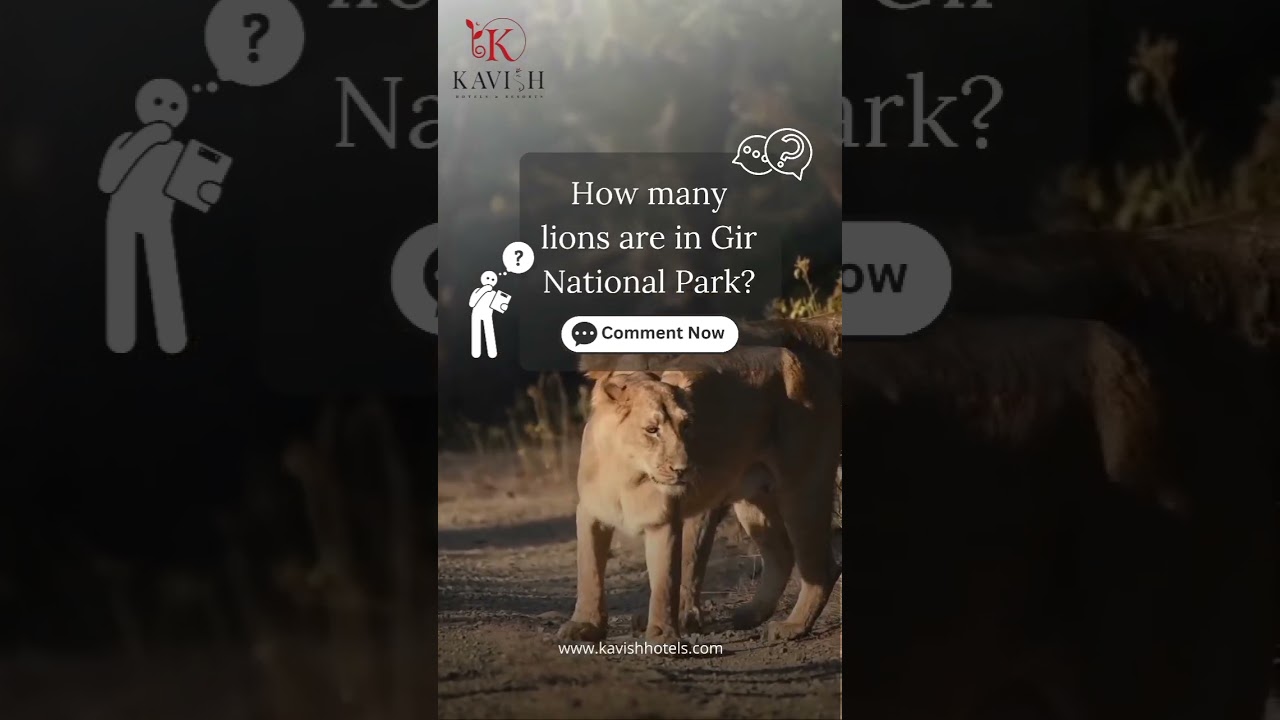 How many lions are in Gir National Park ? Gir Lion Resort | Kavish Hotels and Resorts