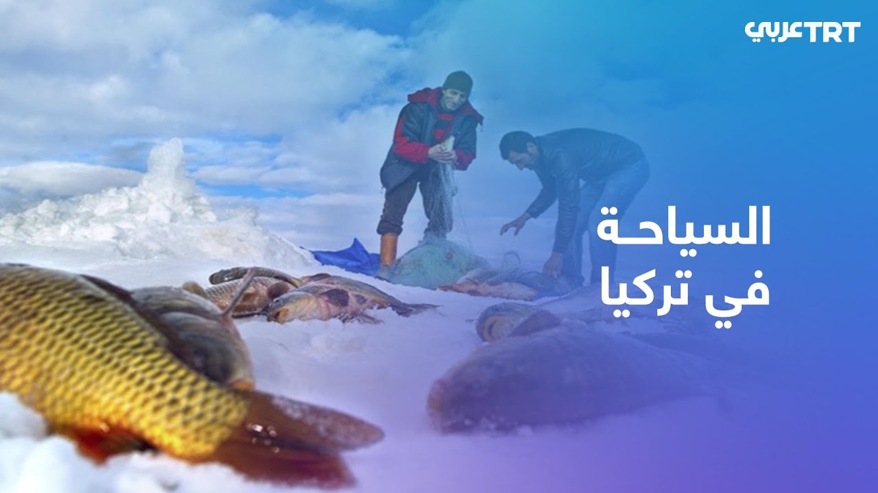 طريقة الإسكيمو.. سكان منطقة شرق تركيا يصطادون السمك من بحيرة جيلدير المتجمدة