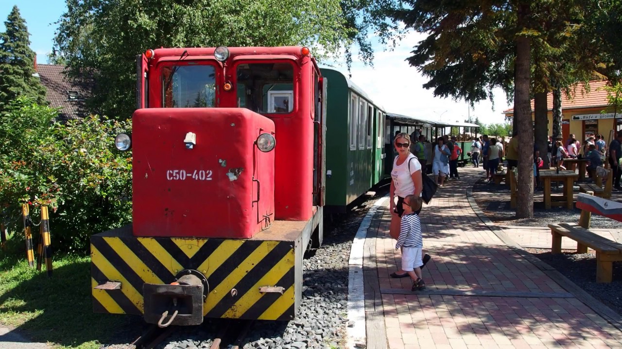 Utaz&aacute;s a Cs&ouml;m&ouml;d&eacute;ri &Aacute;llami Erdei Vas&uacute;ton 2. (Cs&ouml;m&ouml;d&eacute;rtől Kistolm&aacute;csig)