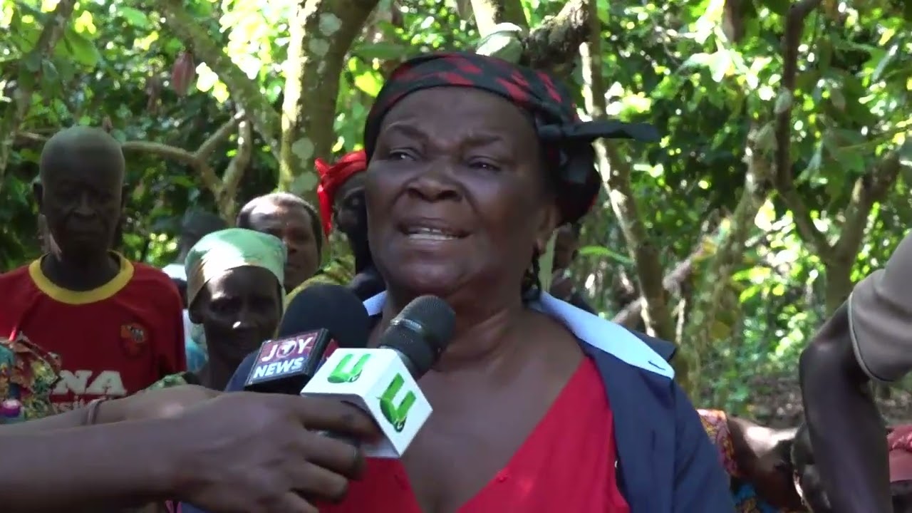 “If You Can’t Increase It, Leave It As It Was” — Cocoa Farmer Sends Message to President Mahama