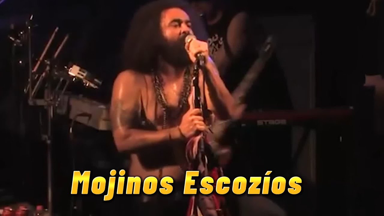 Mojinos Escozíos Reacción