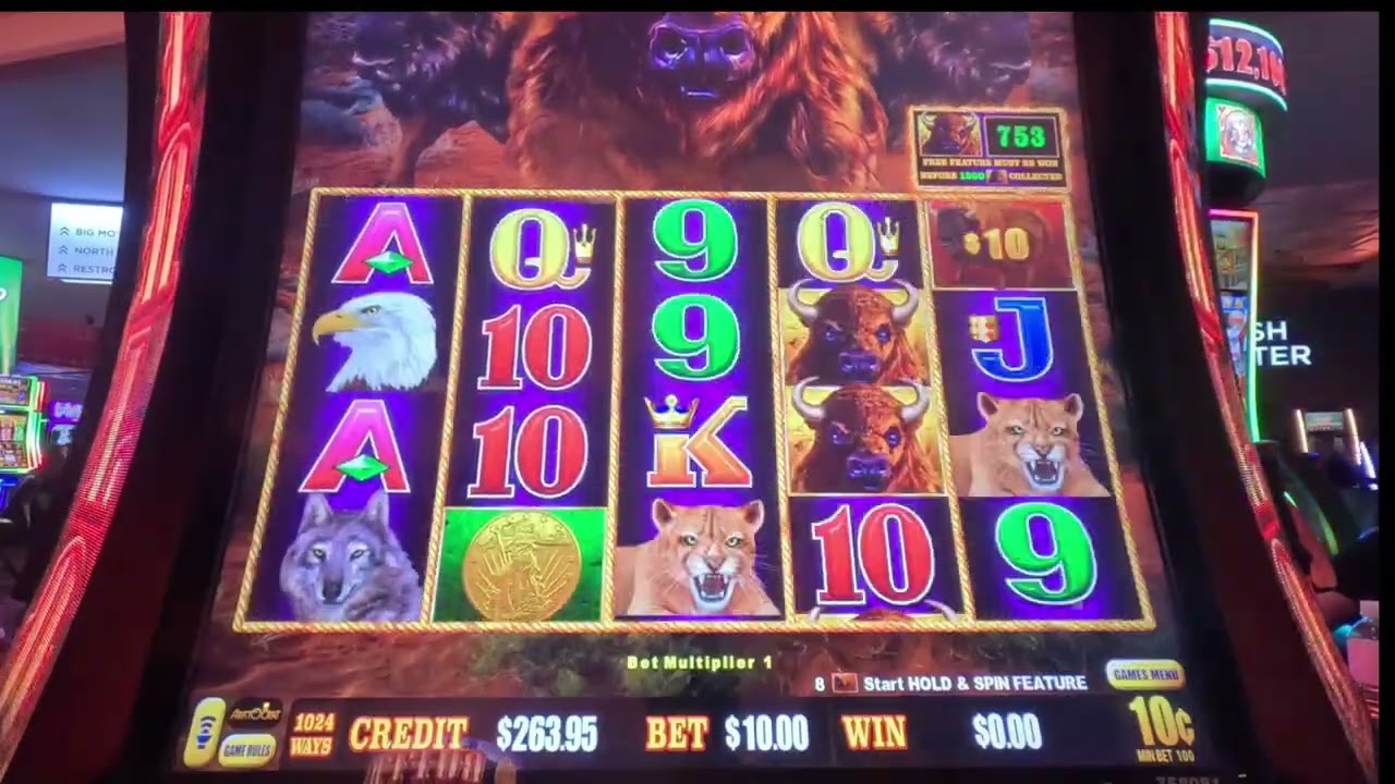 Buffalo Link | Medium Sized Bets to Finish The Session